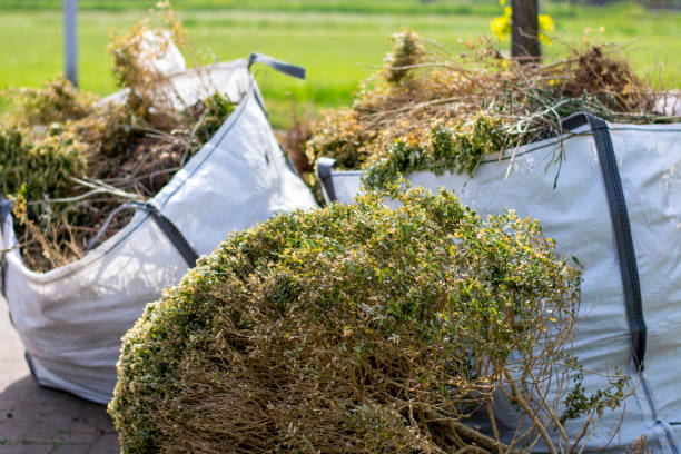 Best Hoarding Cleanup  in Grayson Vley, AL